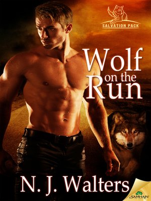 cover image of Wolf on the Run